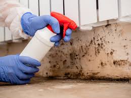 Mold Odor Removal Services in Whitewater, KS